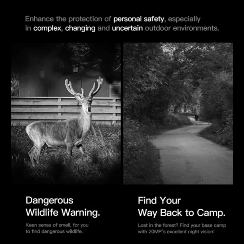 2025072808511452 2025072808511452