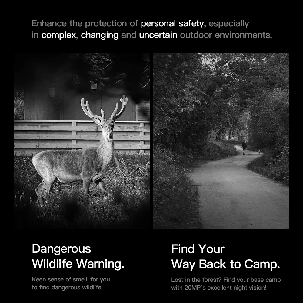 2025072808511452 2025072808511452